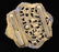 QING DYNASTY WHITE JADE CARVING- GILT BUCKLE - 2