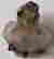 item-50428552=2