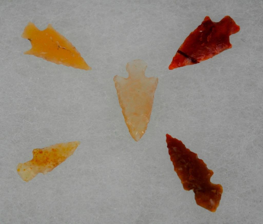 Columbia River Micro Point Arrowheads (1 of 2)