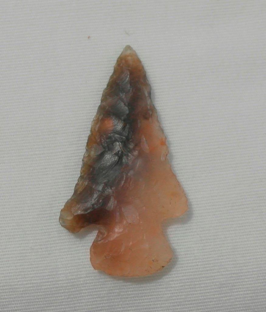 Merybell Arrowhead - Oregon (1 of 2)