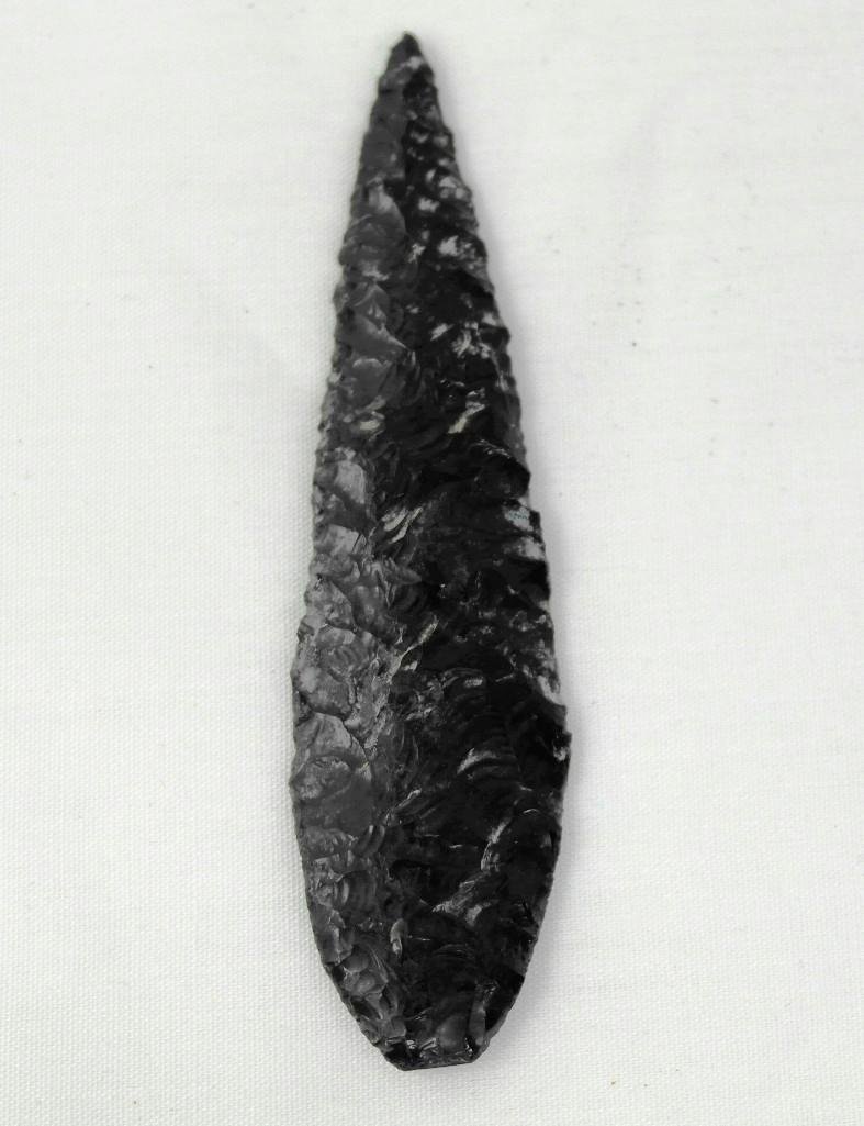 Leaf Blade - Lake County Oregon (1 of 2)