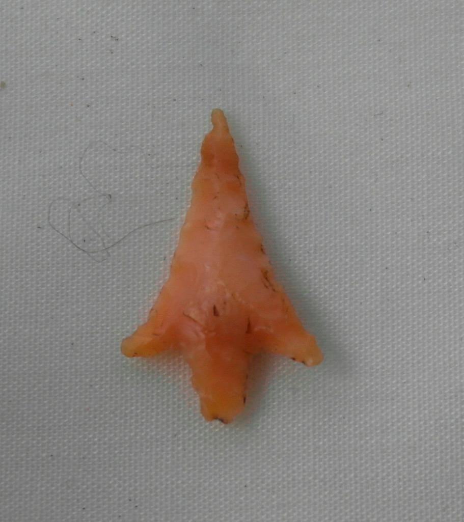 Columbia Plateau Point Found Columbia River Site (1 of 2)