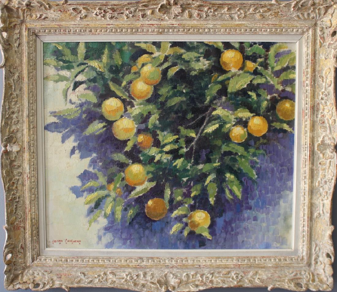 Jean Dominique Van Caulaert, French 1879-1979: Jean Dominique Van Caulaert, French 1879-1979, oil on canvas, c. 1950, impressionist still life of branch of orange tree, simply a fine painting in original frame 39" x 34', signed lower left.