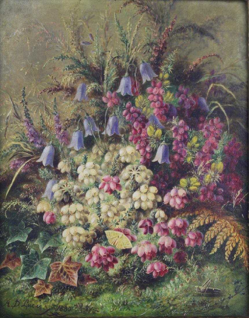 Albert Durer Lucas, 1828-1918, Oil on Canvas: British, botanical floral with moth and grasshopper, signed lower left and dated 1880, image 8" x 10", frame 11.5" x 13.5", pierce carved, one re-glued corner, otherwise painting if fine condition.