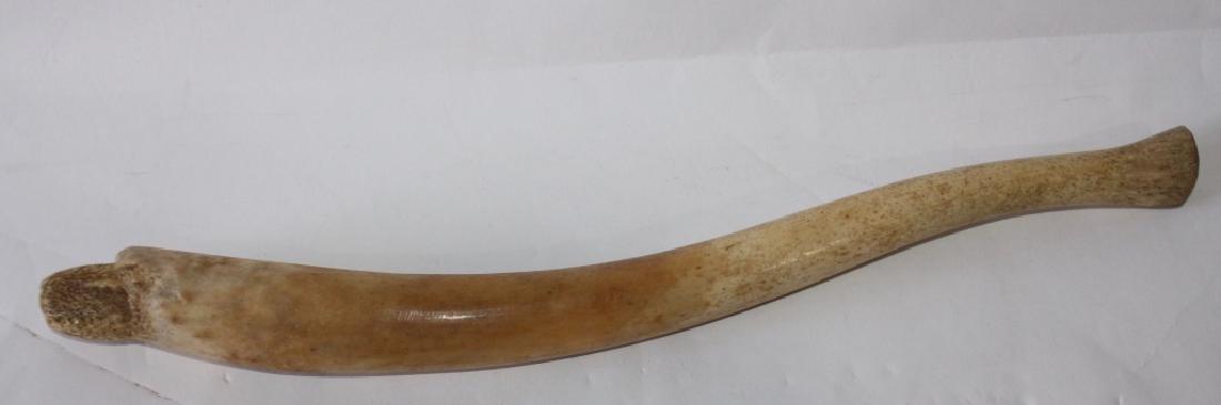 Inuit (Eskimo) Fossilized Oosik: or whale baculum, Upper Northwest Coast, this being used probably as a seal club, carved effigy head of polar bear on large end, 23", good condition.