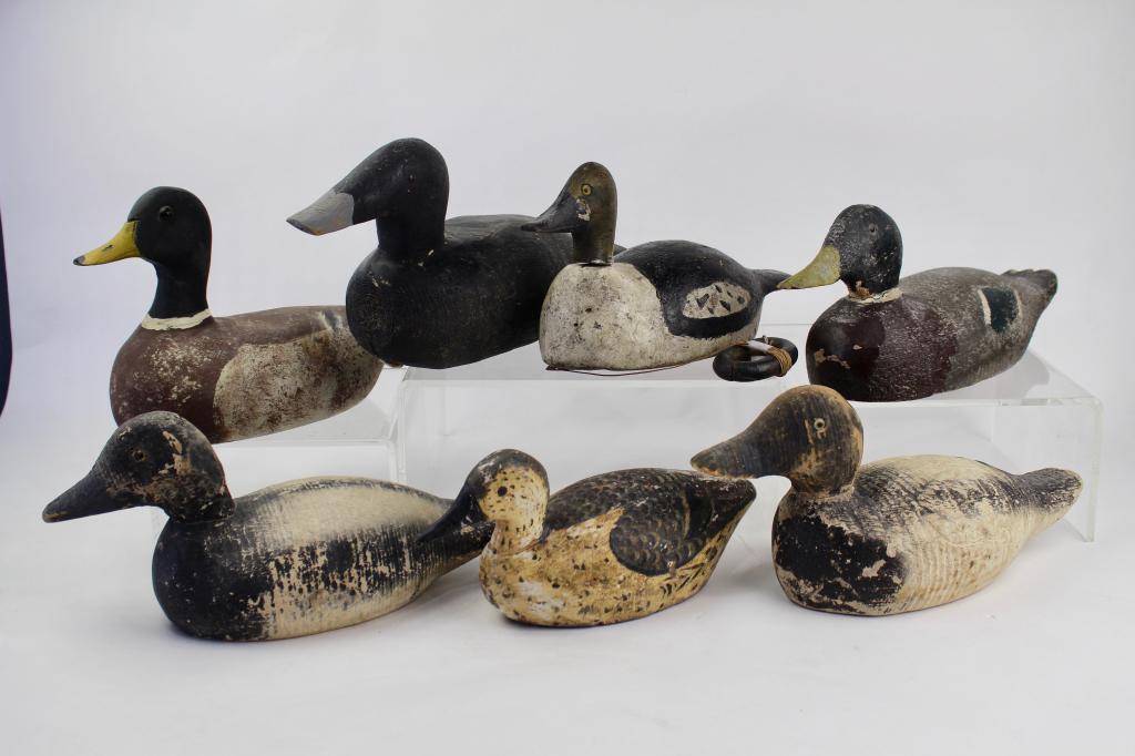 Group of 7 Antique Duck Decoys: all hand painted and wood carved, one still has lead ring weight with string, another ink stamped "Animal Trap Co. Pascagoula, Miss." Smallest 11.5" x 5.5", detailed feather work, all show wear and mi
