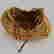 item-91396354=7
