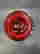item-109603973=10