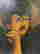 item-110344028=6