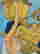 item-110345542=4