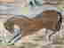 item-110345692=2