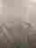 item-110554160=4