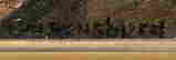item-110649057=5