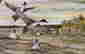 item-110727456=4