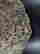 item-111239070=3