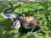 item-111584745=5