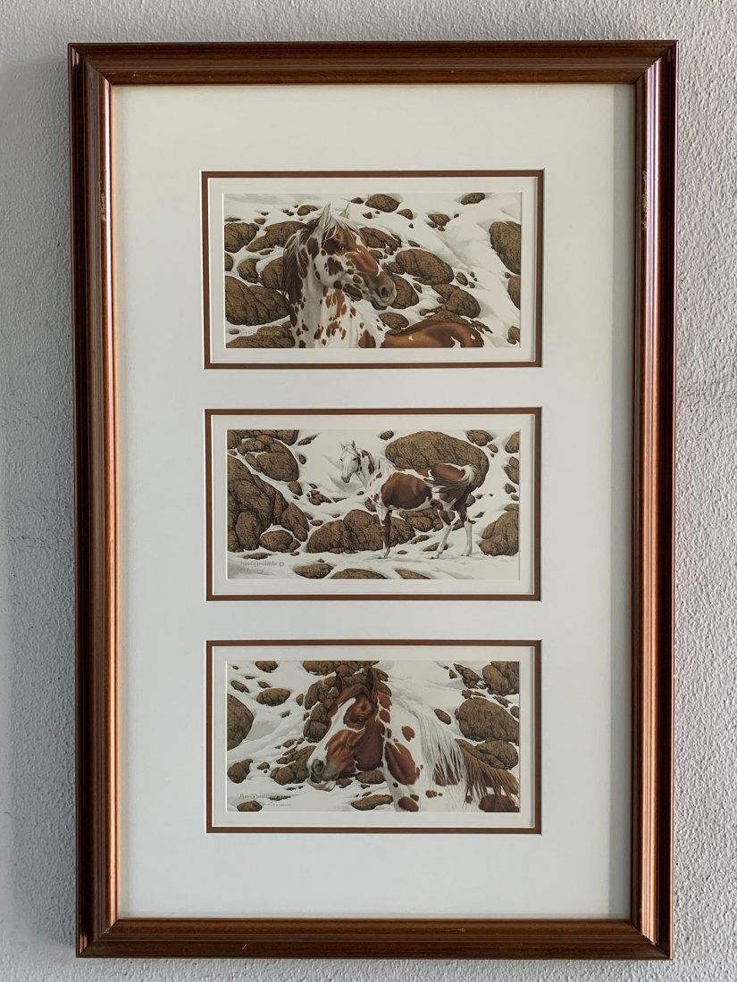 Bev Doolittle "Hide and Seek" Prints  Cameo A,B,C (1 of 11)
