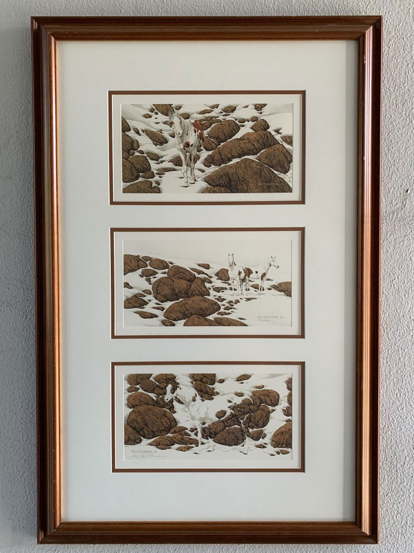 Bev Doolittle "Hide and Seek" Prints  Cameo D,E,F (1 of 7)