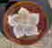 item-128645529=12