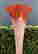 item-128645529=9