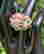 item-128645589=6