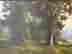 item-128987408=4