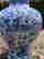 item-128988986=12