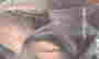 item-129076606=12