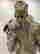 item-129076613=5