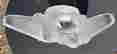 item-129076670=12