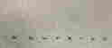 item-130191909=8