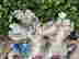 item-130401407=16