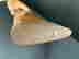 item-130463284=16