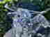 item-130523175=12