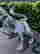 item-130523175=9