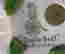 item-130523945=16