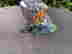 item-130524081=7