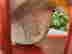 item-130605754=15