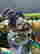 item-130605754=19