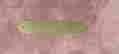 item-130908120=5