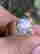 item-131271763=13