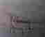 item-131314377=7