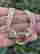 item-131620321=8