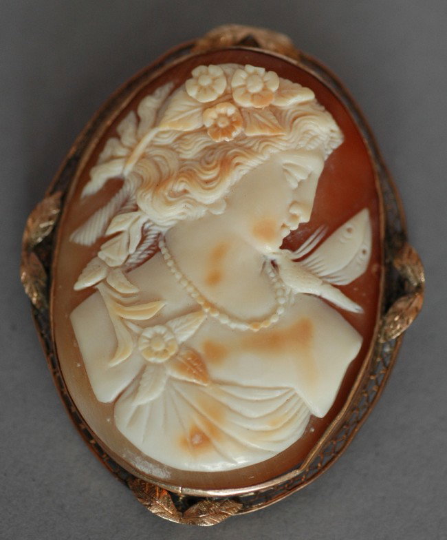 SHELL CAMEO