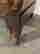 item-132573824=13