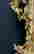 item-132573836=5