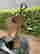 item-132832660=10