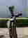 item-132904265=2