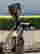 item-132904265=9