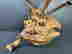 item-133729696=5